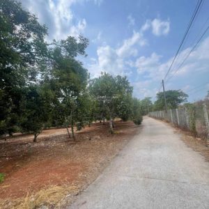 517,0 m² Khu phố Cáp Rang, phường Suối Tre, thành phố Long Khánh, tỉnh Đồng Nai.